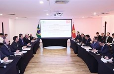 Premier apoya apertura de Cámara de Comercio e Industria de Brasil en Vietnam