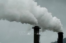 Vietnam se dirige hacia la economía de carbono bajo