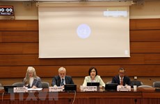 Vietnam participa en reunión trimestral del Comité de ASEAN en Ginebra