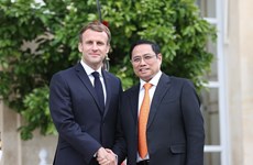 Diplomacia parlamentaria, eslabón importante en la cooperación Vietnam - Francia