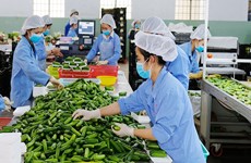 Vietnam debe impulsar transformación verde para exportación sostenible