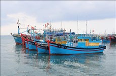 Provincia central de Ninh Thuan desarrolla sector pesquero sostenible