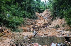 Vietnam mejora alerta temprana de tormentas y lluvias 