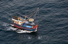 Vietnam refuerza soluciones contra la pesca ilegal