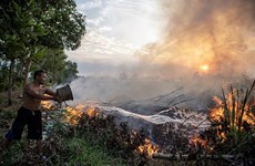 Indonesia analiza soluciones para hacer frente a El Niño