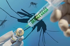 Participará Vietnam en pruebas de vacuna japonesa contra el dengue