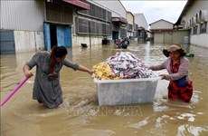Lluvias prolongadas continúan afectando a muchas localidades camboyanas