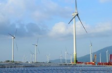 Empresa de Singapur importa energía renovable de Vietnam