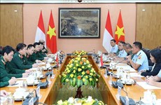 Vietnam e Indonesia celebran diálogo sobre política de defensa
