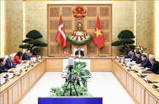 Vietnam y Dinamarca establecen Asociación Estratégica Verde