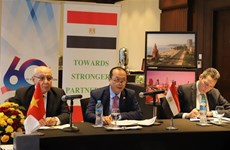 Vietnam y Egipto intercambian experiencias para atraer financiamiento verde