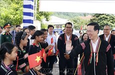 Presidente asiste al Festival de la Gran Unidad Nacional en provincia de Phu Yen