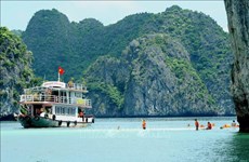 Procuran mantener patrimonio de Bahía de Ha Long como un destino hermoso