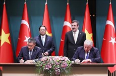 Vietnam Airlines y Turkish Airlines amplían cooperación en transporte de carga