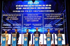 Empresas vietnamitas y chinas firman 21 acuerdos y contratos económicos
