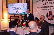Ministerio de Industria y Comercio de Vietnam dispuesto a apoyar a empresas bélgas