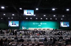 Logran éxitos asistencia a COP28 y gira a Medio Oriente de Premier vietnamita