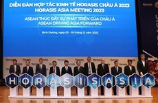 Provincia vietnamita acoge reunión Horasis de Asia 2023