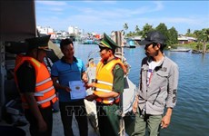 Provincias vietnamitas se enfrascan en combatir la pesca ilegal