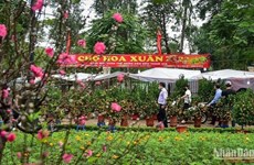 Festival de Primavera 2024 tendrá lugar en Hanoi