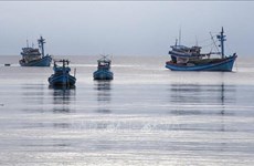 Guardia costera vietnamita fomenta lucha contra pesca ilegal 