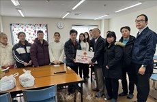 Embajada envía delegación para ayudar a vietnamitas en prefectura de Ishikawa afectada por terremoto