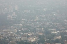 Gabinete tailandés apoya proyecto de ley de aire limpio