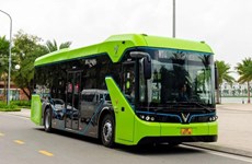 Hanoi propone sustituir autobuses tradicionales por eléctricos en nueve rutas