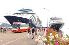 Provincia de Quang Ninh recibirá 60 cruceros turísticos internacionales en 2024
