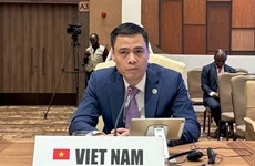 Vietnam propone orientaciones de cooperación en III Cumbre del Sur