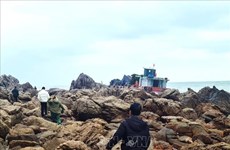 Vietnam rescata a marineros chinos accidentados en aguas de Quan Lan
