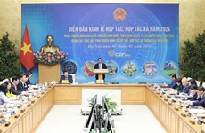 Gobierno vietnamita incentiva desarrollo de la economía colectiva