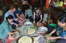 Experimentan el Tet tradicional en provincia vietnamita de Thua Thien-Hue