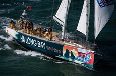 Bahía de Ha Long lista para albergar Regata de Vela Clipper Race