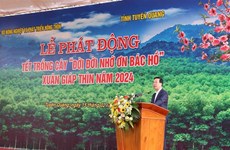 Presidente de Vietnam lanza Festival de plantación de árboles 2024