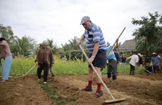 Turistas experimentan cultivo de verduras en aldea centenaria