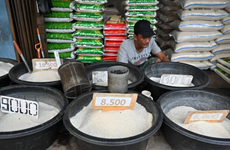 Indonesia garantiza suficiente suministro de alimentos durante el mes del Ramadán