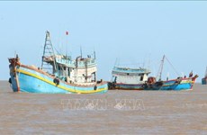 Localidades de Vietnam empeñadas en combatir la pesca ilegal