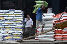 India y ASEAN debaten sobre cambios de acuerdo sobre comercio de bienes
