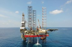 PetroVietnam registra crecimiento en varios campos de producción