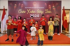 Celebran en Indonesia encuentro entre vietnamitas por Año del Dragón