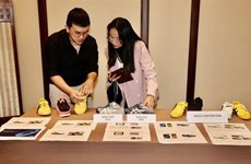 Vietnam y Japón coordinan en protección de derechos de propiedad intelectual