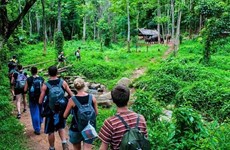 Busca Vietnam explotar potencial de ecoturismo forestal