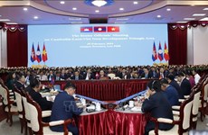 Vietnam expone avances en implementación de acuerdos de cooperación en CLV