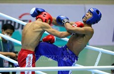 Provincia vietnamita de Binh Dinh acoge Campeonato Asiático de Kickboxing 2024