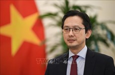Improntas de Vietnam en primer año como miembro de CDH para 2023 - 2025