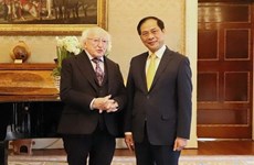 Irlanda concede gran importancia a papel de Vietnam en Asia-Pacífico