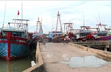 Thanh Hoa toma medidas drásticas contra barcos pesqueros ilegales