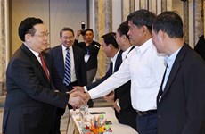 Presidente parlamentario asiste al anuncio de planificación de nueva área urbana de Cam Lam