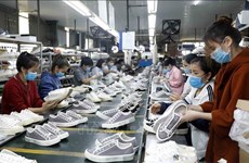  Exportaciones de calzado de Vietnam muestran señales positivas 